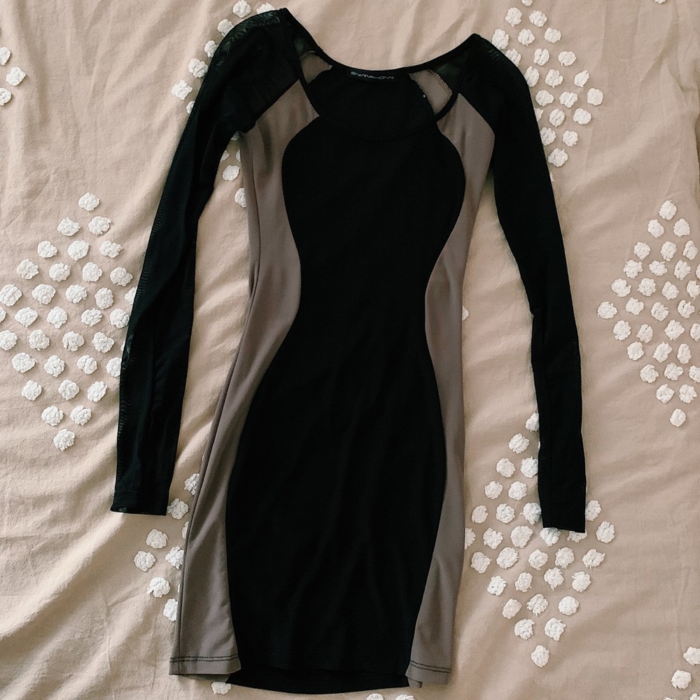 Mesh Sleeve Bodycon Dress